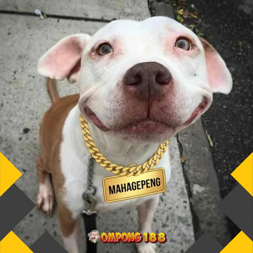 OMPONG188 | Apk Slot Dana Instan Via Qris & Slot Mahjong Online Terpopuler in Medan